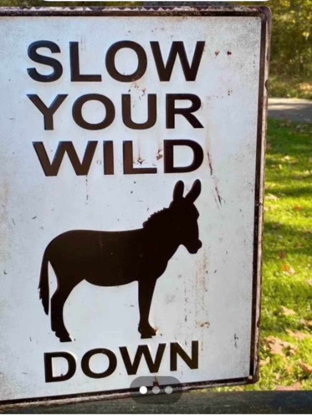 Rustic 'Slow Your Wild Down' Donkey Metal Sign - Black on White